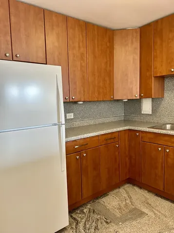 1451 East 55th Street Chicago IL 60615