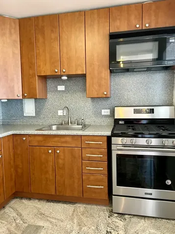 1451 East 55th Street Chicago IL 60615