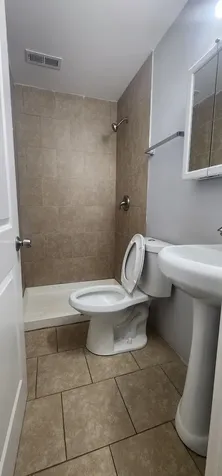 22100 Karlov Avenue Richton Park IL 60471