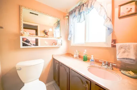 2433 South Shag Bark Trail Arlington Heights IL 60005