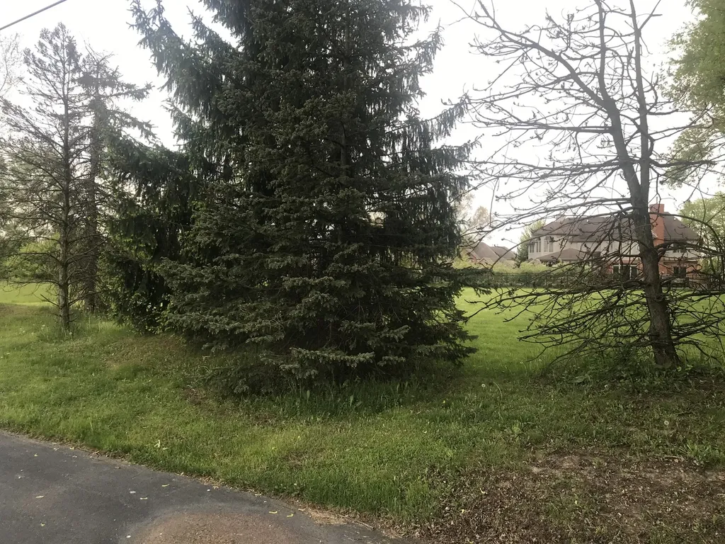 10855 West 153rd Street Orland Park IL 60467