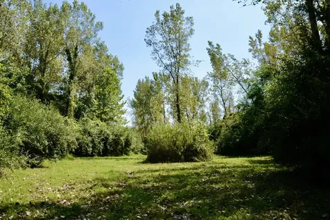 4141 East 2603rd Road Sheridan IL 60551