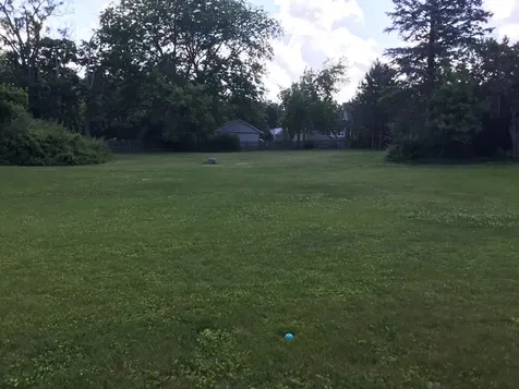 206 East Camp Mcdonald Road Prospect Heights IL 60070