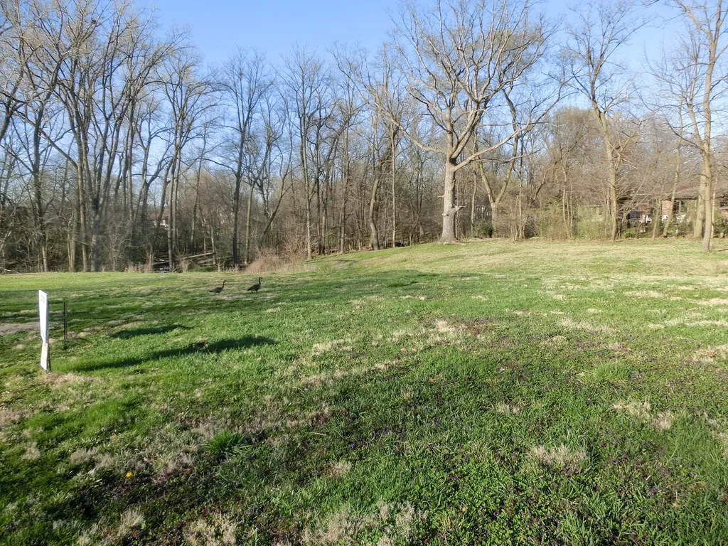 16966 Forest Glen Drive Tinley Park IL 60477