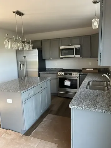 1638 Periwinkle Court Morris IL 60450