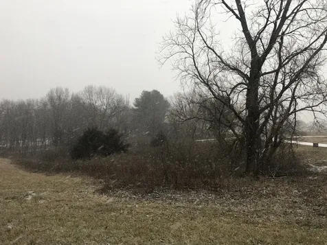 226 Fox Court Apple River IL 61001