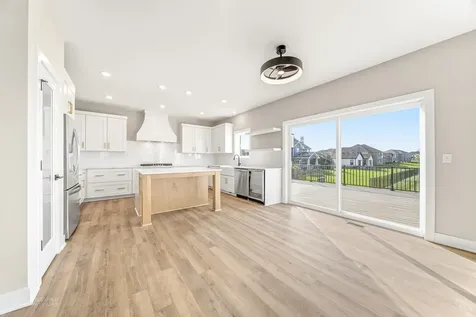 23070 Hankins Court Frankfort IL 60423