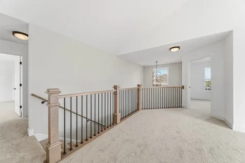 23070 Hankins Court Frankfort IL 60423
