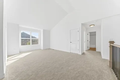 23070 Hankins Court Frankfort IL 60423