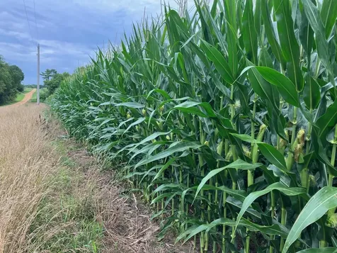20 AC Butternut Road Oregon IL 61061