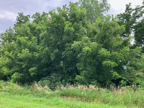 20 AC Butternut Road Oregon IL 61061