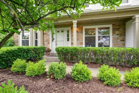 232 Stanton Court W Buffalo Grove IL 60089
