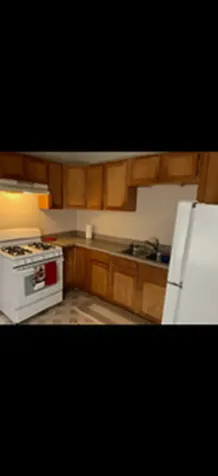 4535 South Honore Street Chicago IL 60609