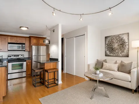 1030 North State Street Chicago IL 60610