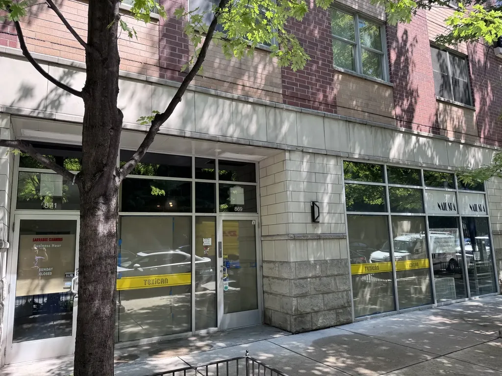 869 North Larrabee Street Chicago IL 60610