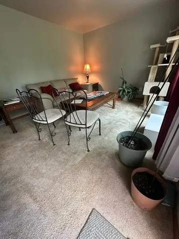17871 Locust Street Lansing IL 60438