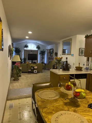 131 East 163rd Street South Holland IL 60473