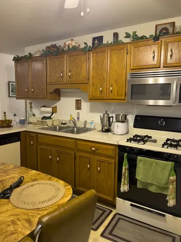 131 East 163rd Street South Holland IL 60473