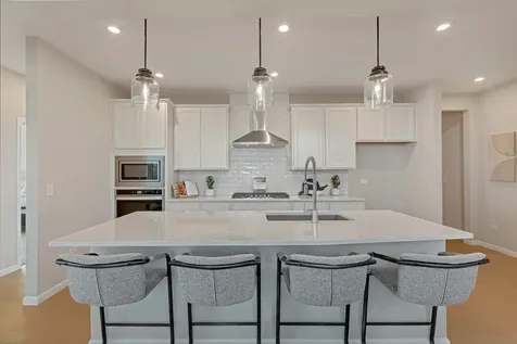 12655 Derry Drive Lemont IL 60439