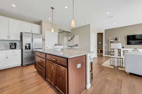 12659 Derry Drive Lemont IL 60439