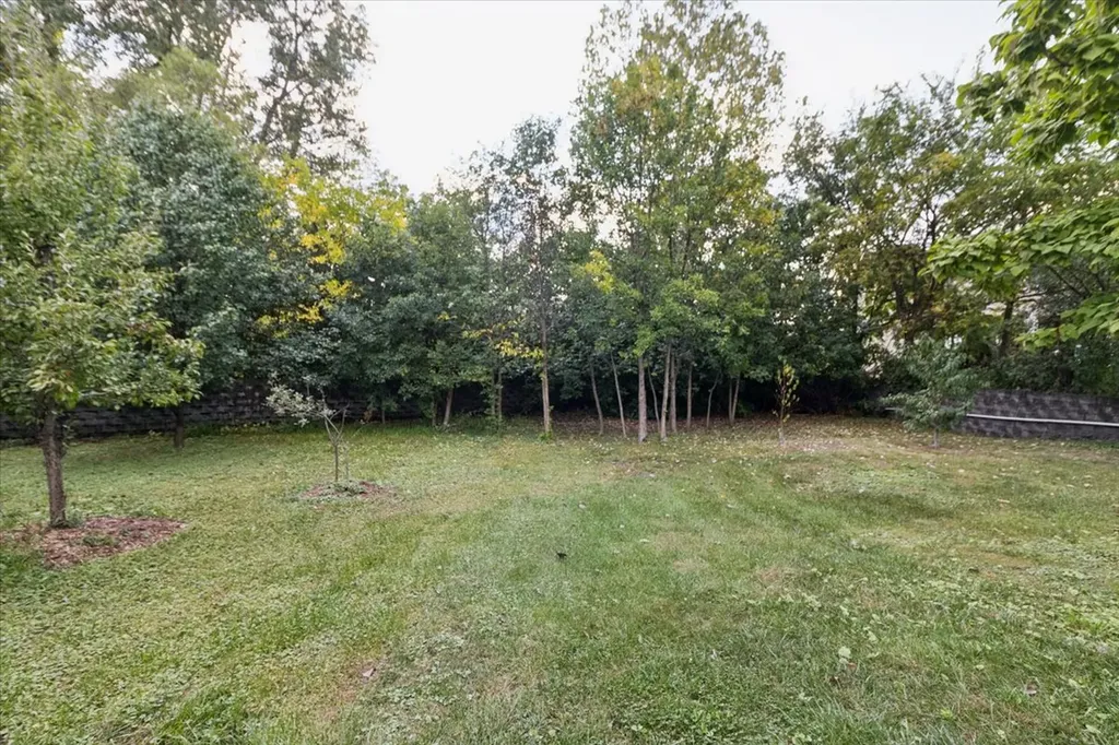 238 Hillcrest Avenue Addison IL 60101