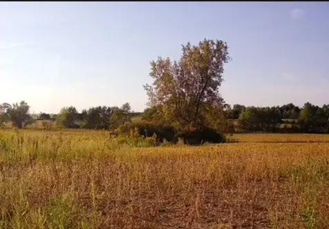 Lot 8 South 80th Avenue Monee IL 60449