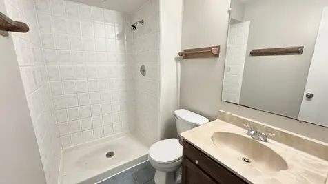 22140 Schaaf Court Richton Park IL 60471