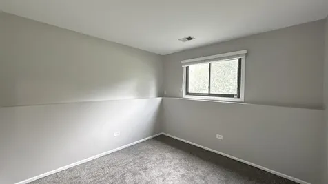 22140 Schaaf Court Richton Park IL 60471