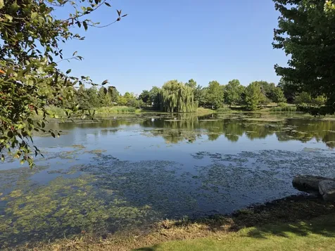 6322 Maple Glen Drive Wonder Lake IL 60097