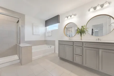 12426 Conneely Court Lemont IL 60439