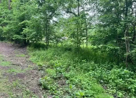 Lot 9-13 South Hickory Avenue Wilmington IL 60481