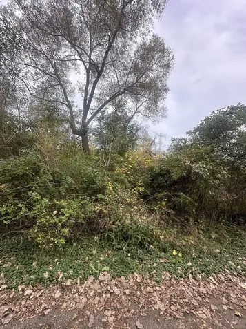 Endwood Drive Long Grove IL 60047
