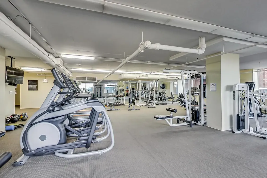 1717 South Prairie Avenue Chicago IL 60616