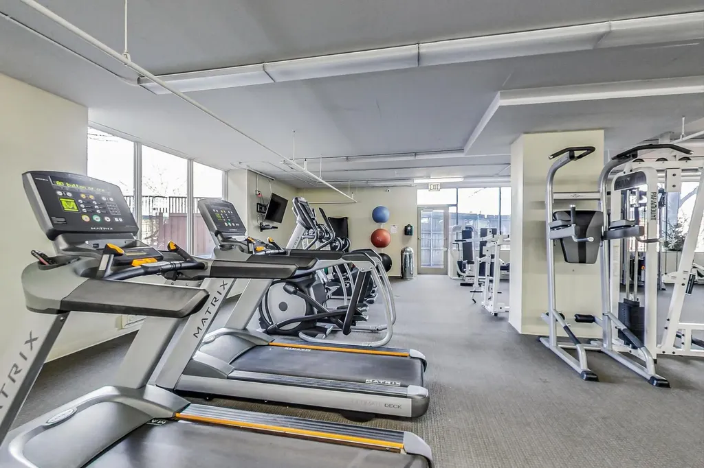 1717 South Prairie Avenue Chicago IL 60616