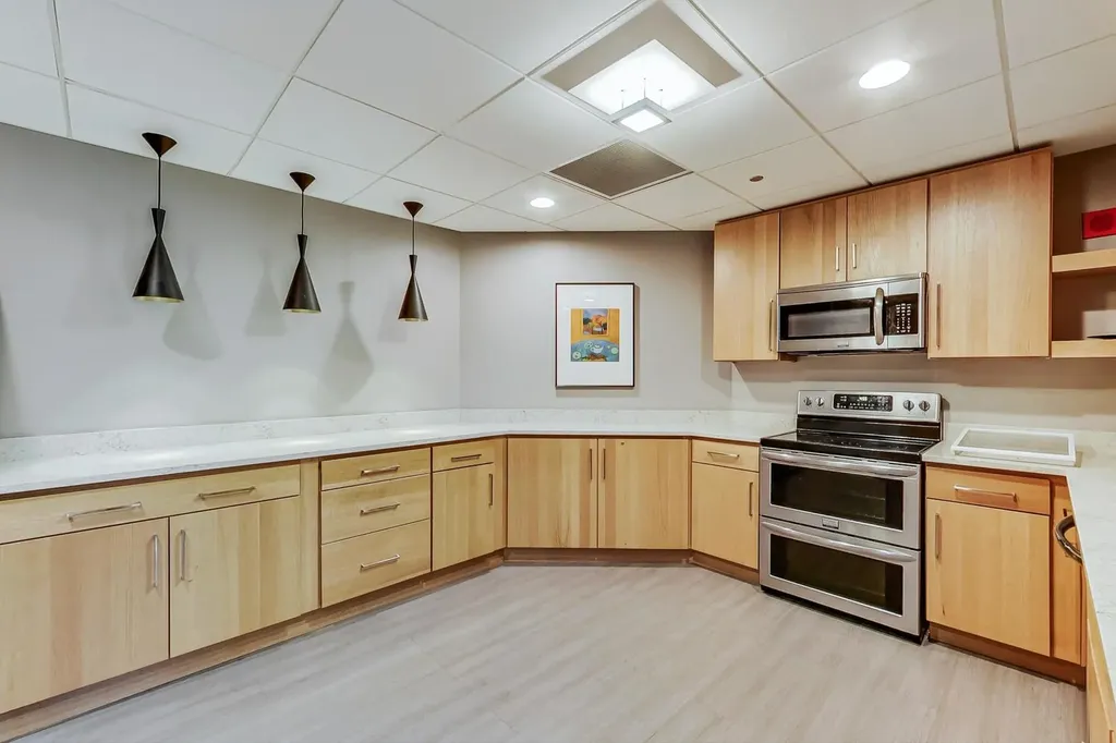 1717 South Prairie Avenue Chicago IL 60616