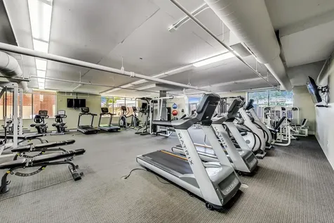 1717 South Prairie Avenue Chicago IL 60616