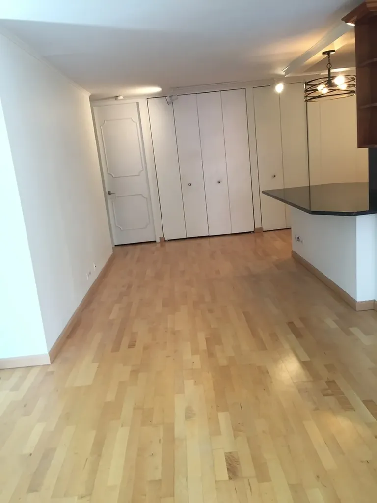 200 East Delaware Place Chicago IL 60611