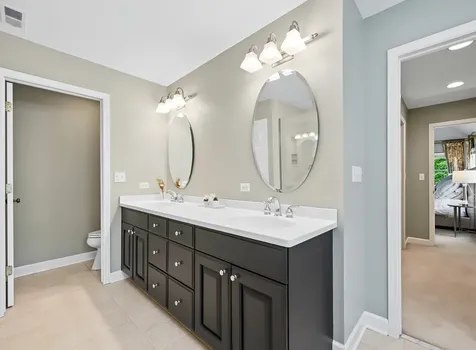 1028 Shady Lane Glen Ellyn IL 60137