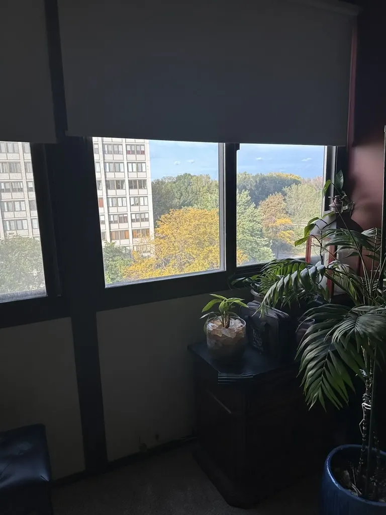 4850 South Lake Park Avenue Chicago IL 60615