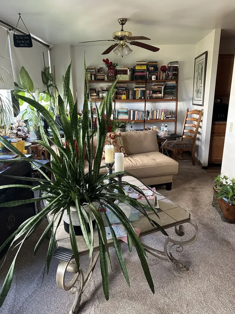4850 South Lake Park Avenue Chicago IL 60615