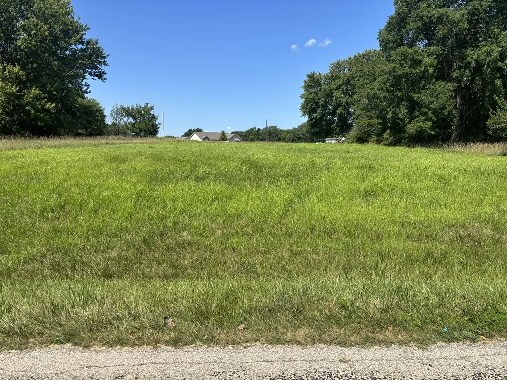 480 Earl Miller Drive Varna IL 61375