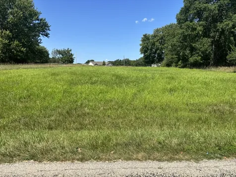 480 Earl Miller Drive Varna IL 61375