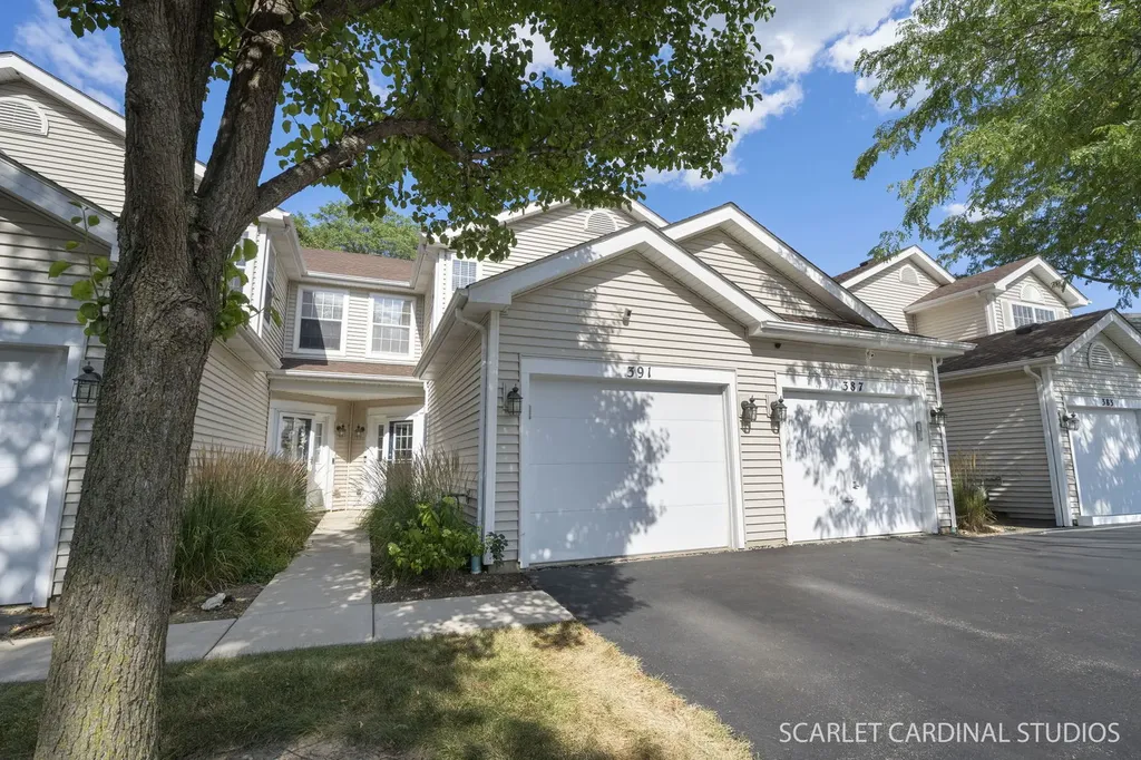 391 Hunterdon Court Schaumburg IL 60194