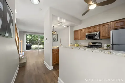 391 Hunterdon Court Schaumburg IL 60194