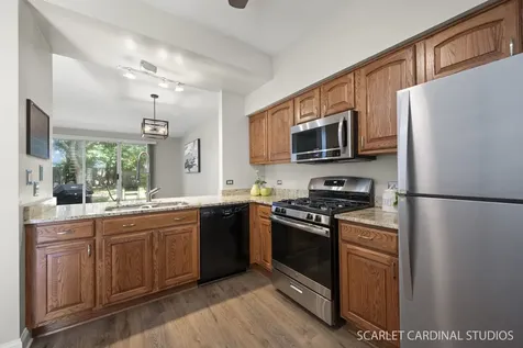 391 Hunterdon Court Schaumburg IL 60194