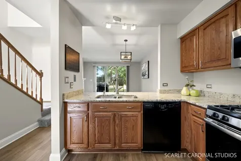 391 Hunterdon Court Schaumburg IL 60194