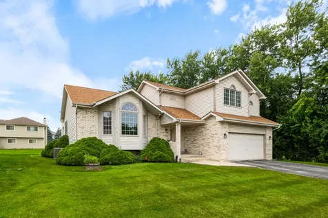 23042 Ridgeway Avenue Richton Park IL 60471