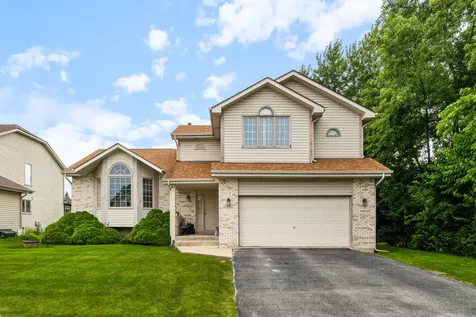 23042 Ridgeway Avenue Richton Park IL 60471