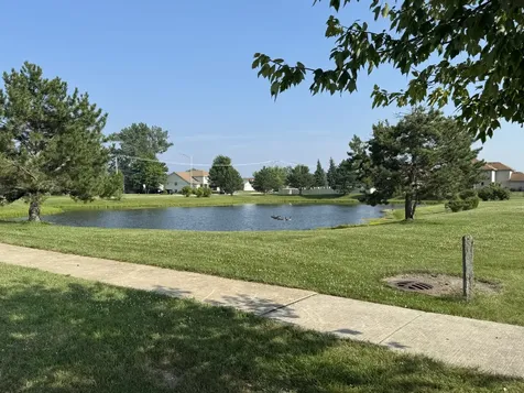 23042 Ridgeway Avenue Richton Park IL 60471