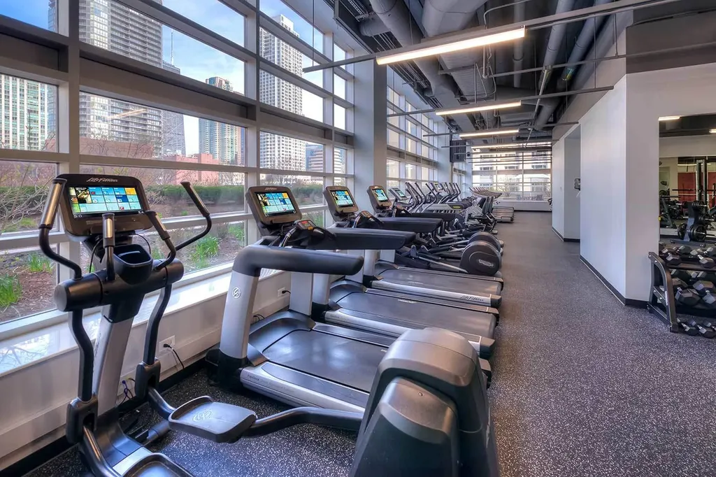 545 North Dearborn Street Chicago IL 60654